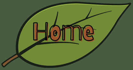 home button